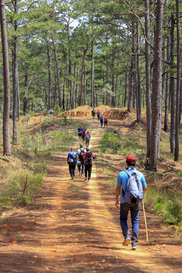 adventure team forest